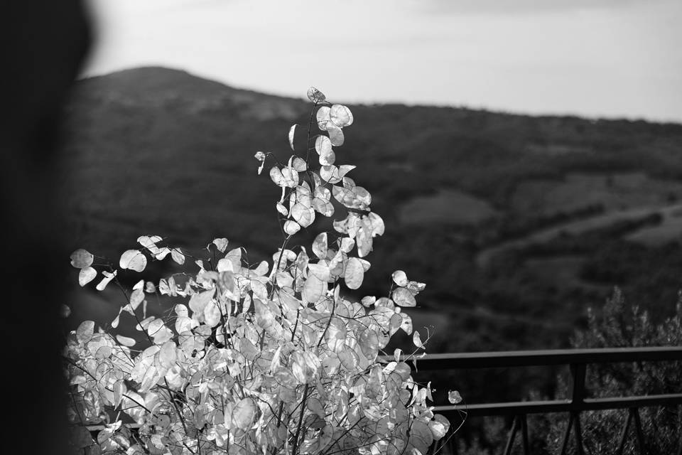 Matrimonio a Saragano