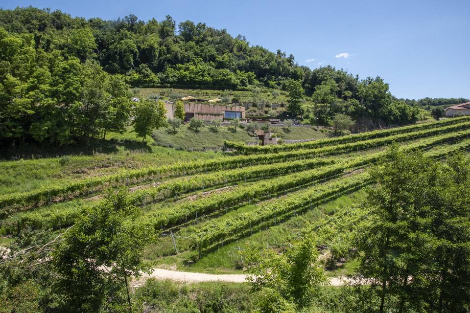 La nostra cantina