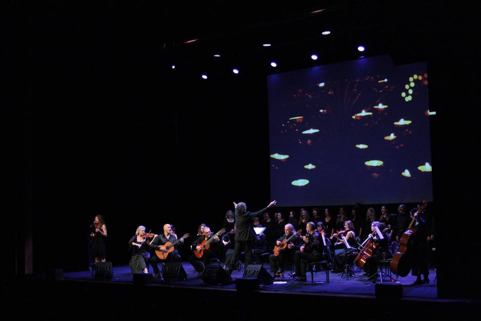 Auditorium parco della musica