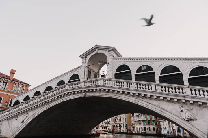 Ponte rialto Venezia