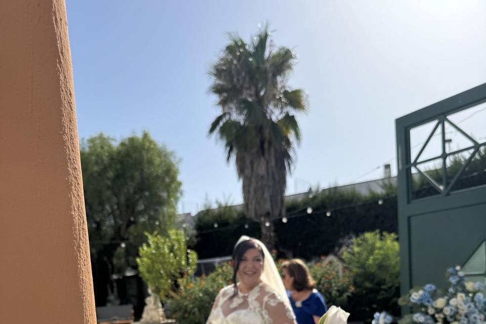 Wedding