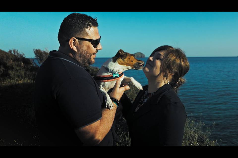 Amore a 4 zampe