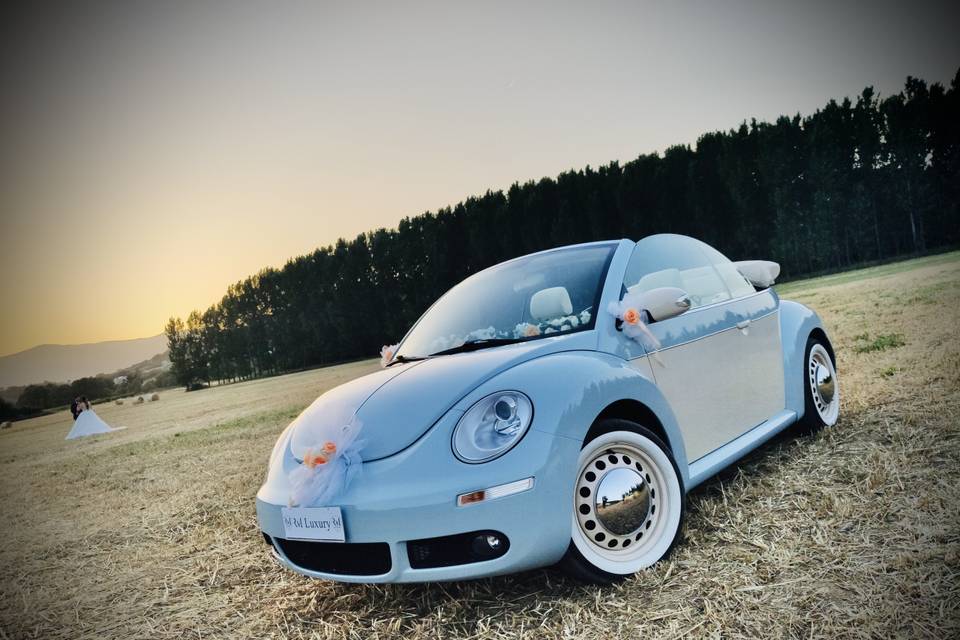 Volkswagen new beetle cabrio