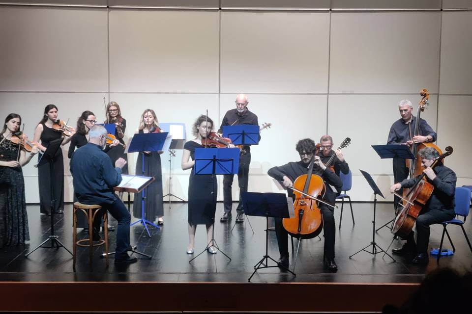 Ilaria Violinista