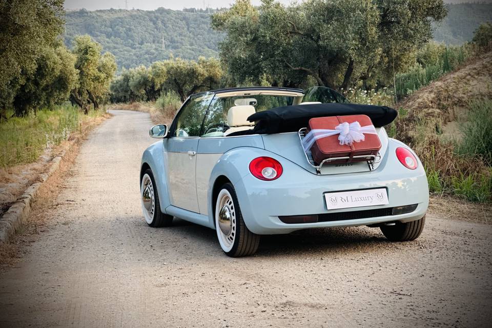 Volkswagen new beetle cabrio