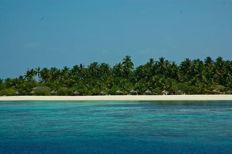 Maldive