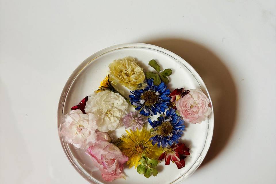 Tropicum