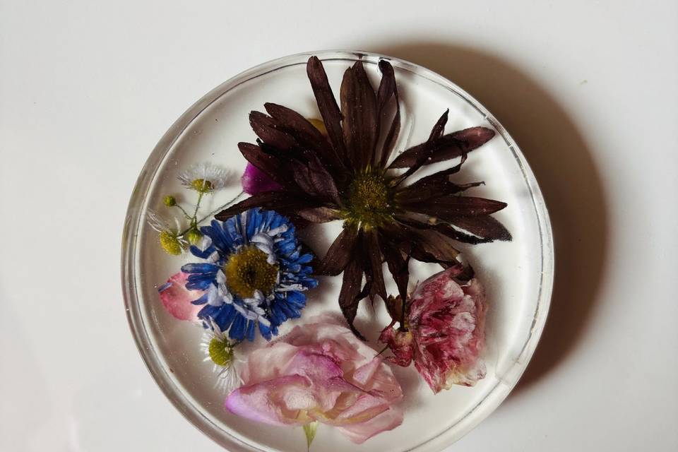 Tropicum