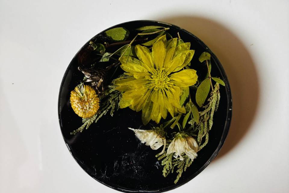 Tropicum