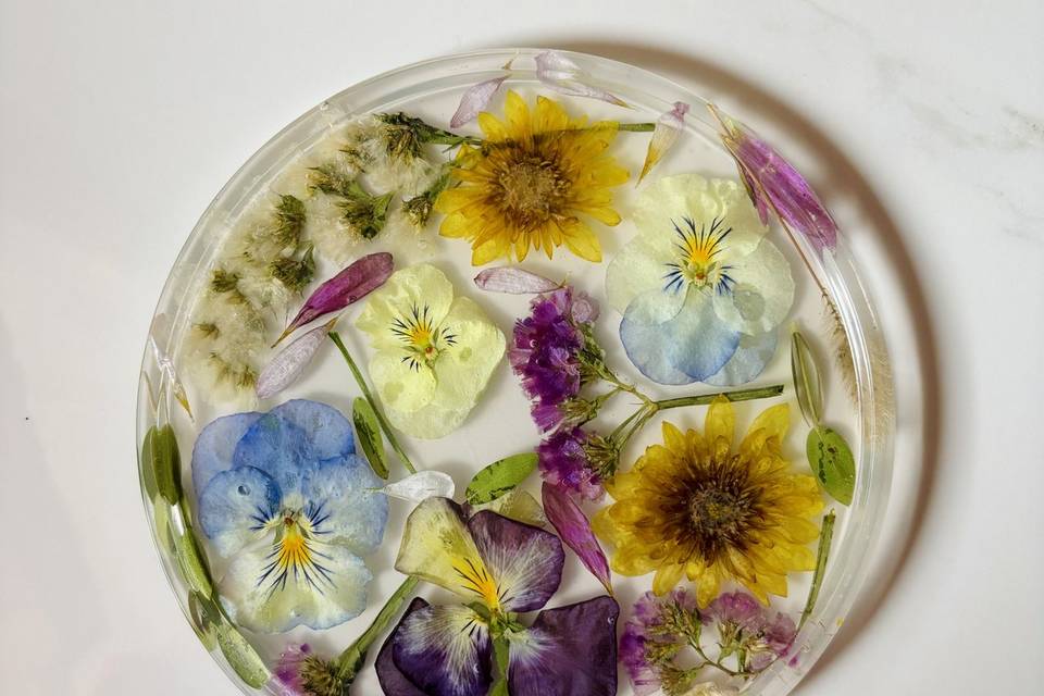Tropicum
