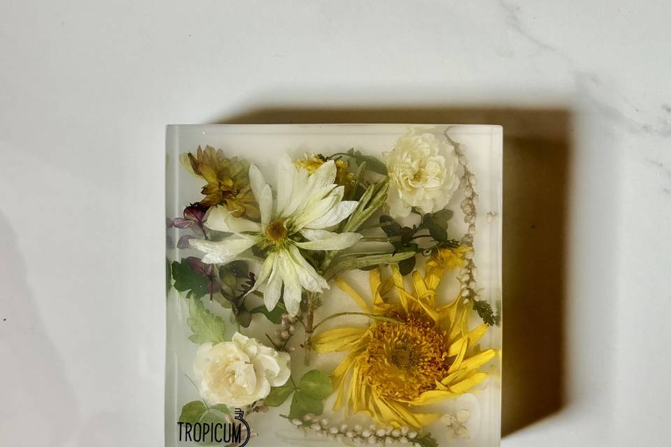 Tropicum