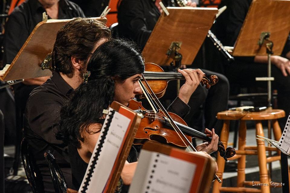 Orchestra