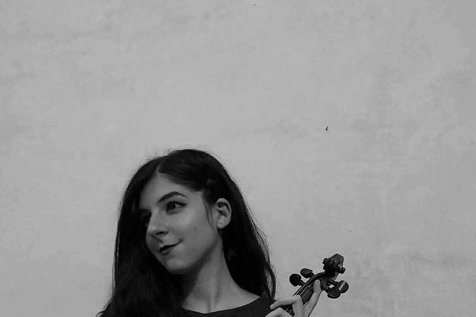 Violino