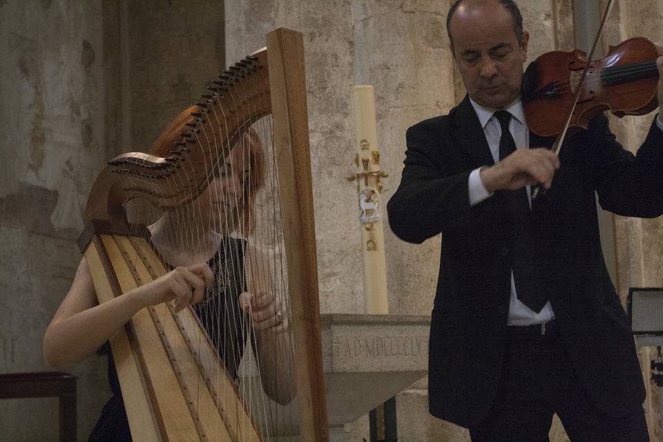 Music Harp Wedding