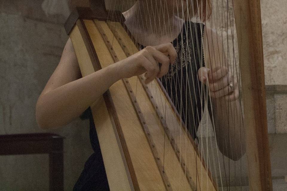 Music Harp Wedding