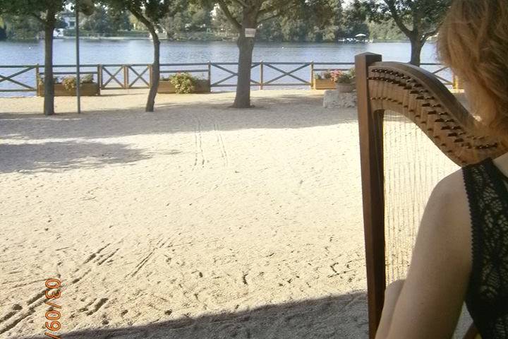 Music Harp Wedding