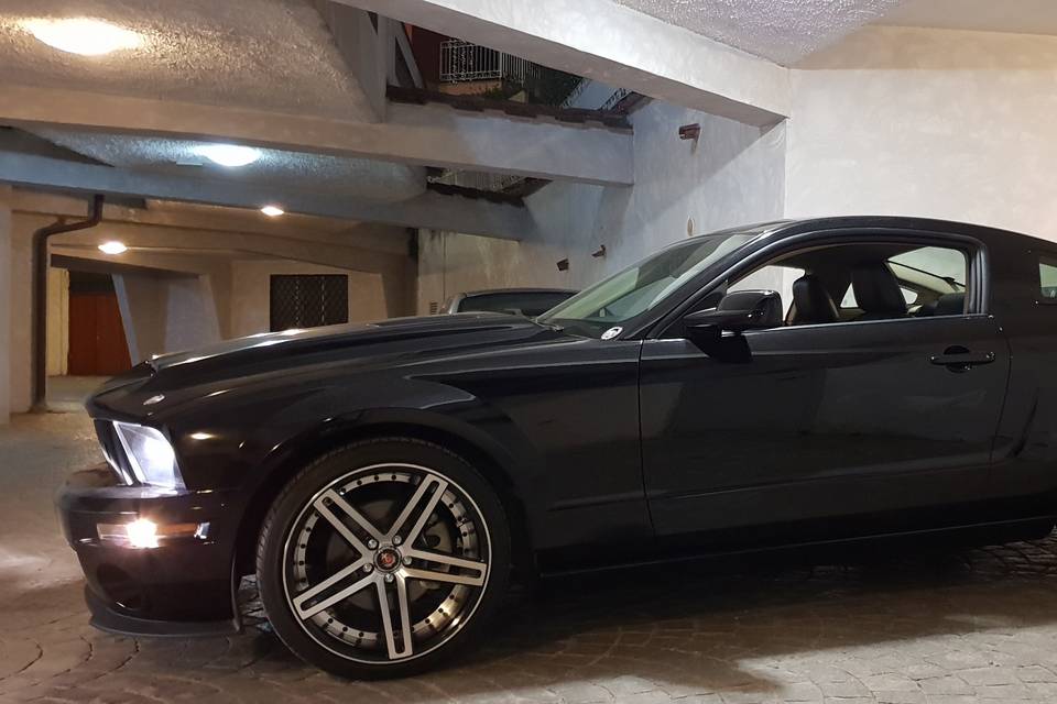 La Mustang bellezza unica