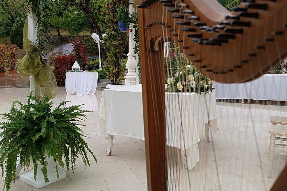 Music Harp Wedding