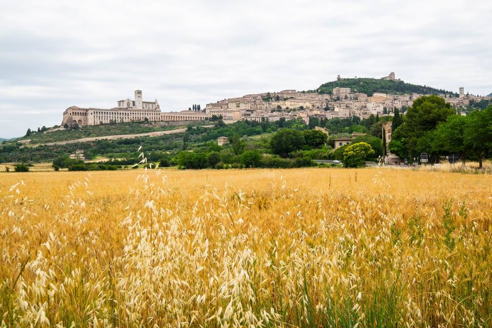 Assisi