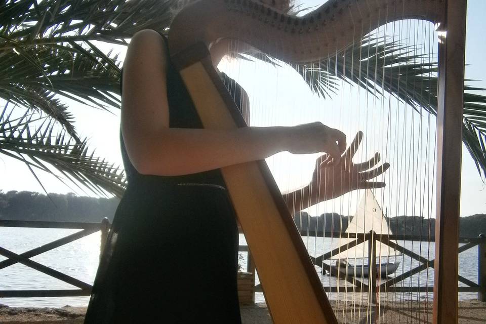 Music Harp Wedding