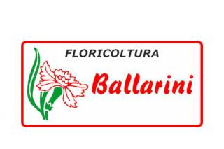 Logo-