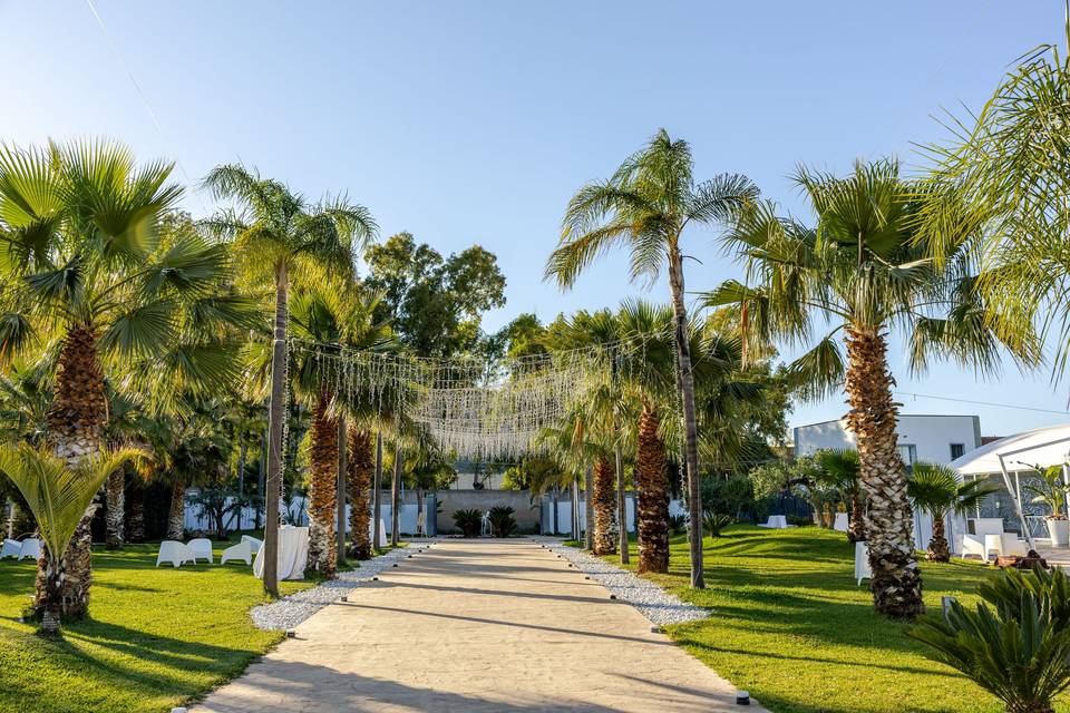 viale_palme_luci_appese_esterno