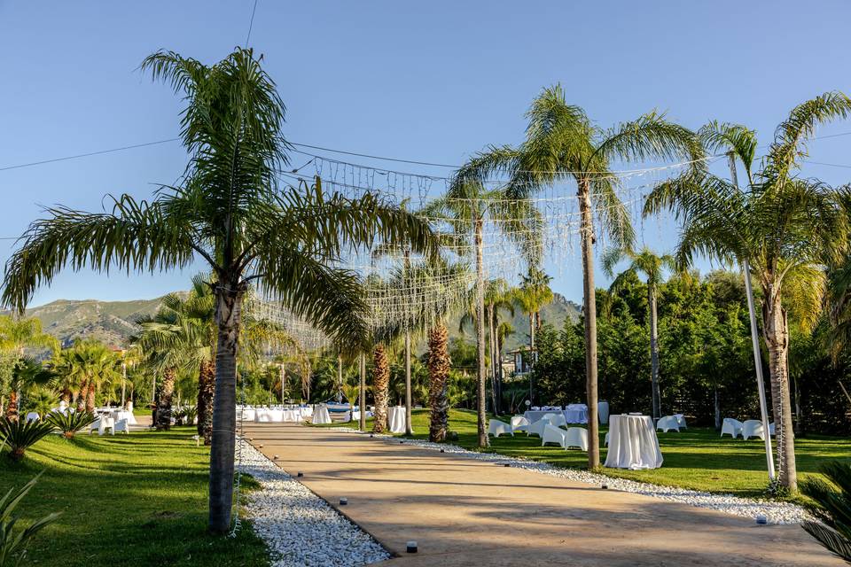 viale_palme_luci_appese