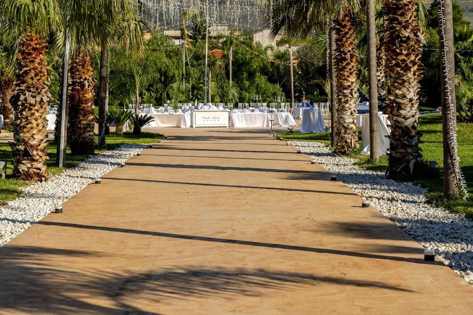viale_palme_luci_bianche