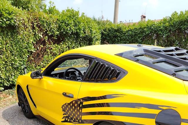 Mustang a noleggio