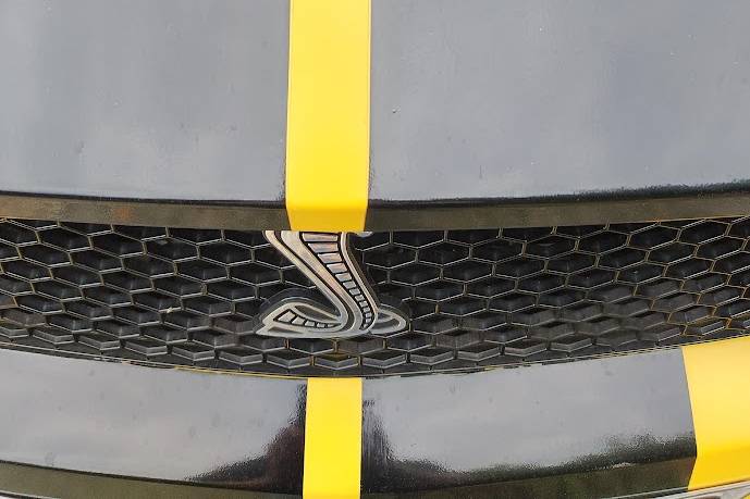 Mustang gialla
