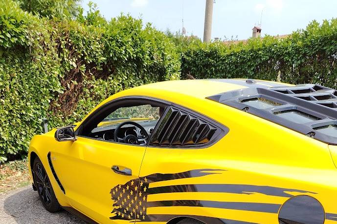 Mustang a noleggio