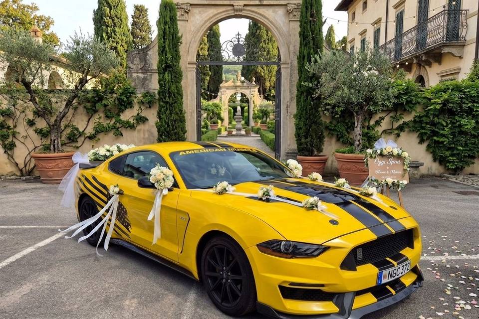 Mustang