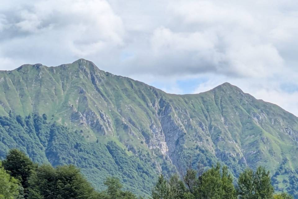 La serra tra i faggi