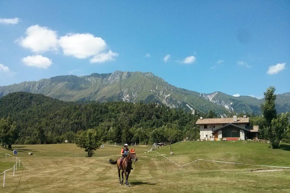 Tenuta e cavalli