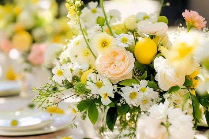 Mise en place primavera