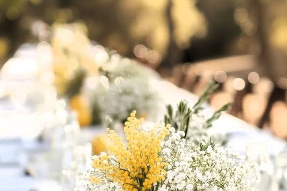 Mise en place Salento