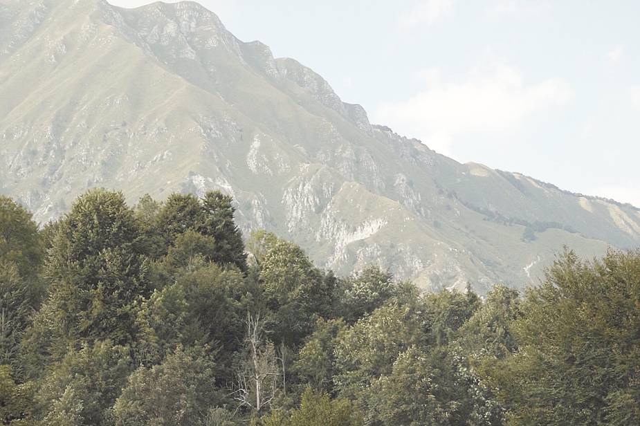 Il fienile nel bosco