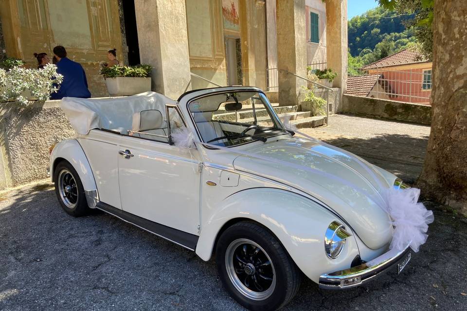 VW Maggiolone GT
