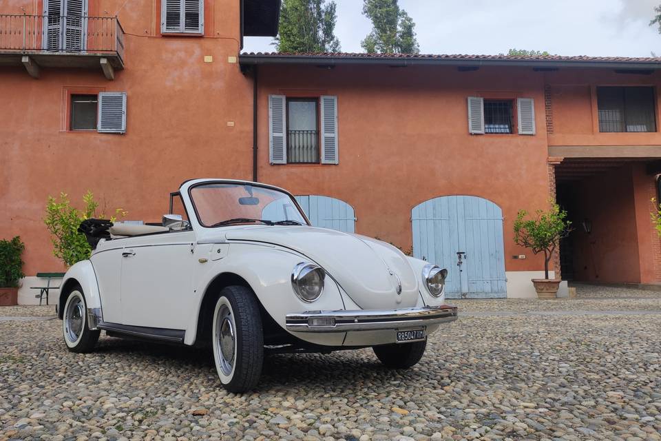 VW Maggiolone