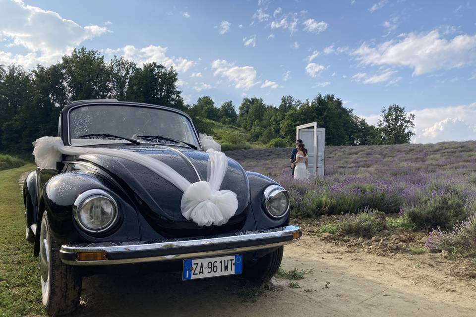 VW Maggiolone