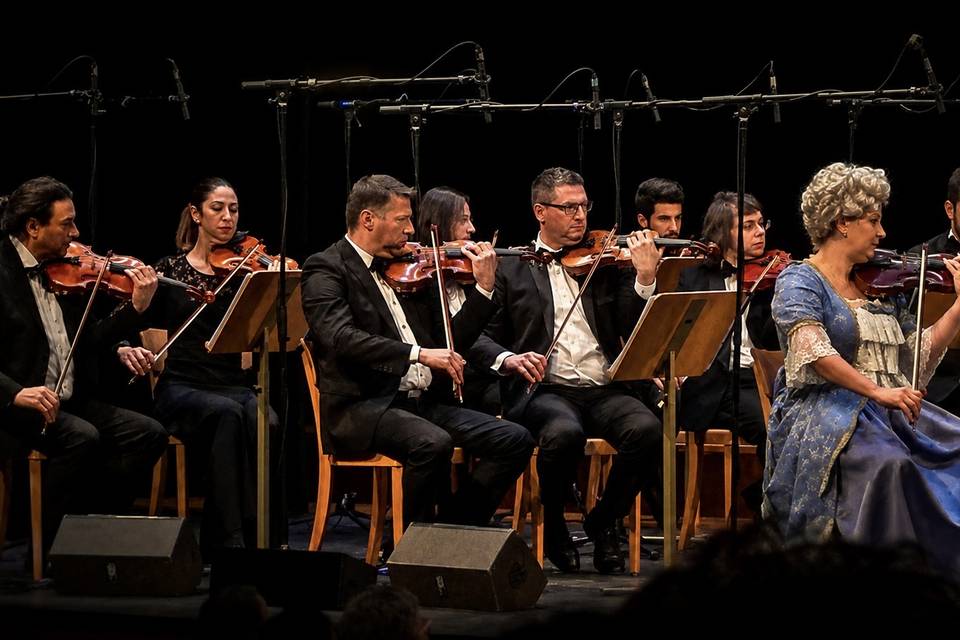 Constantin Voicu | Wedding Vio
