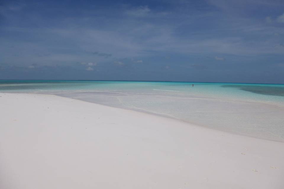 Nuova caledonia isola dei pini