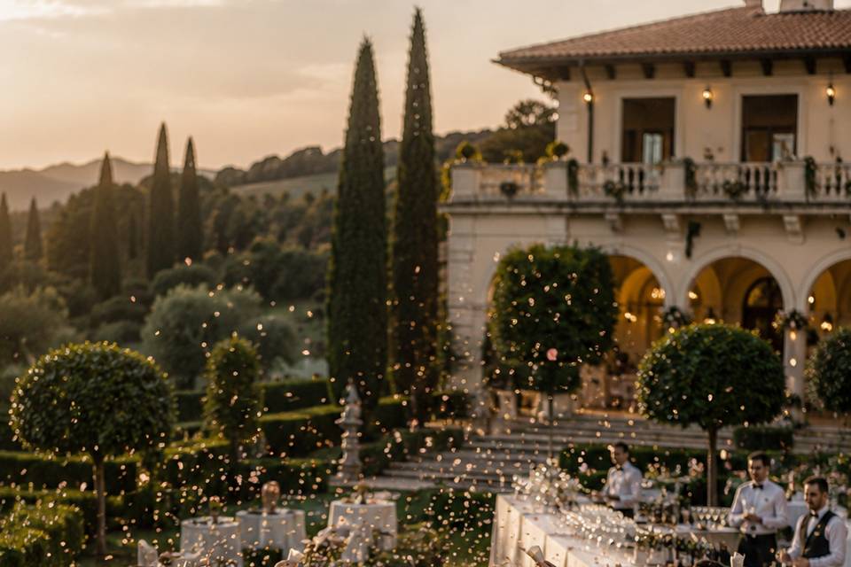 Constantin Voicu | Wedding Vio