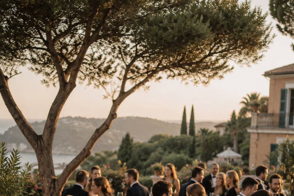 Constantin Voicu | Wedding Vio