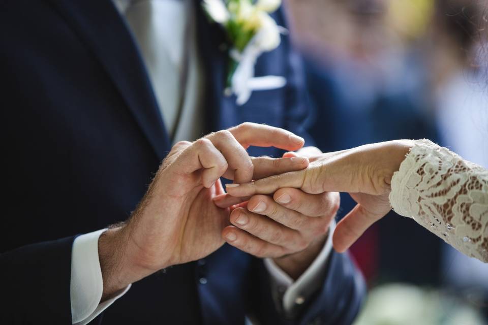 Wedding Reporters