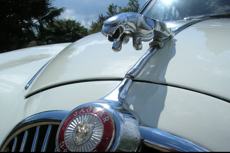 Jaguar MK2 coupé white