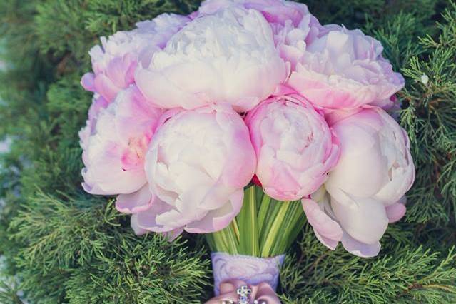 Peonie