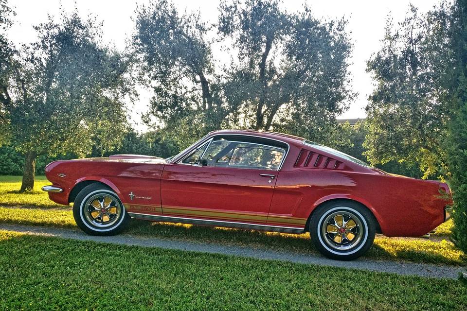 Mustang Fastback 66