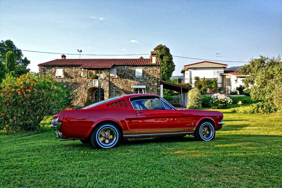 Mustang Fastback 66