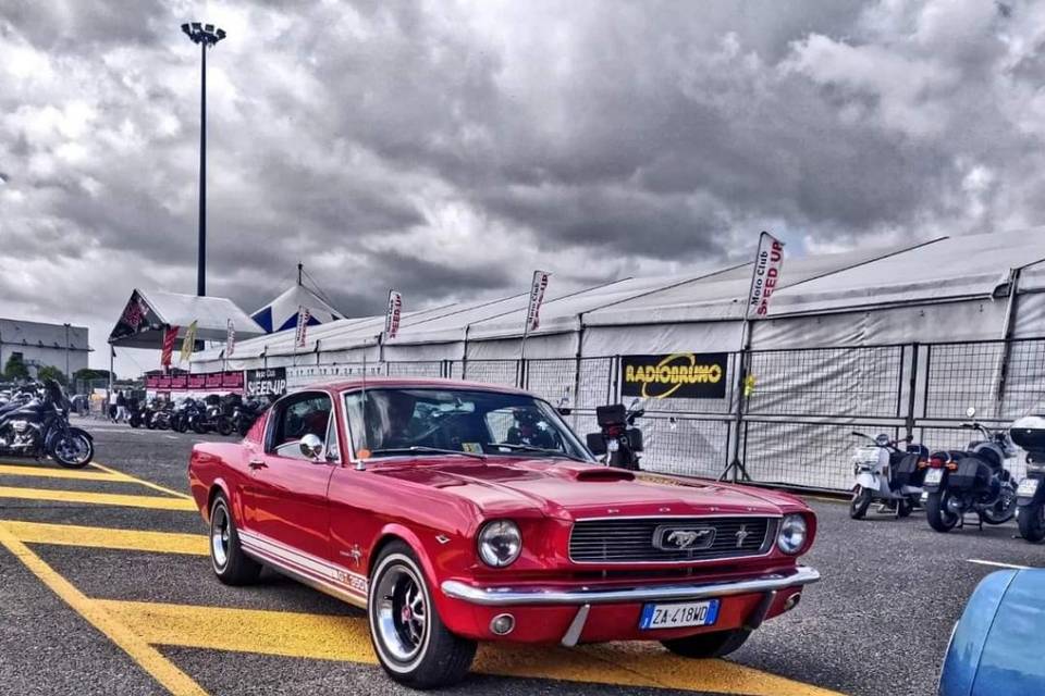 Mustang fastback 1966